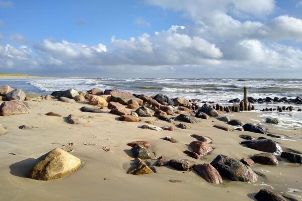 Foto van Oase aan zee in Blavand - Vakantiehuis in Blåvand - WaterView