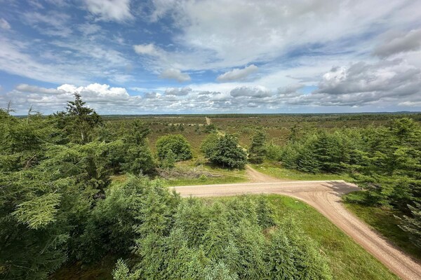 Foto van 6 persoons vakantie huis in Hovborg-By Traum - Vakantiehuis in Hovborg - Untagged