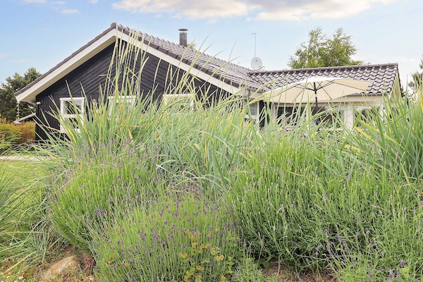 Foto van 6 persoons vakantie huis in Væggerløse-By Traum - Vakantiehuis in Væggerløse - View