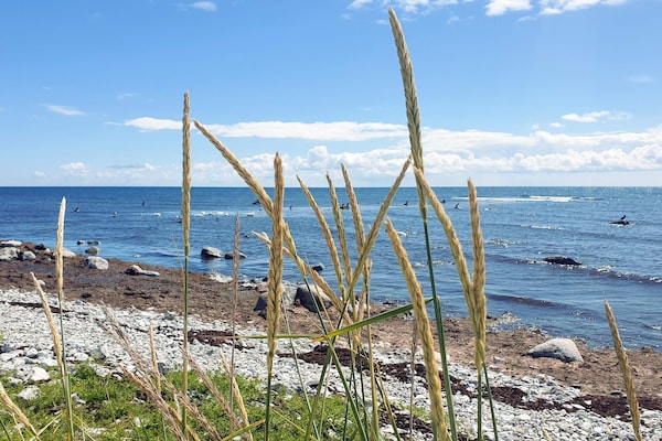Foto van 5 persoons vakantie huis in SMYGEHAMN - Vakantiehuis in SMYGEHAMN - WaterView