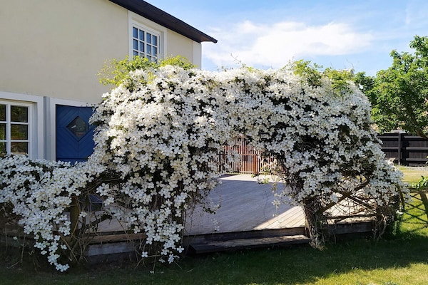 Foto van 5 persoons vakantie huis in SMYGEHAMN - Vakantiehuis in SMYGEHAMN - Outdoor