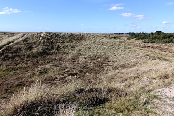 Foto van 6 persoons vakantie huis in Rømø-By Traum - Vakantiehuis in Rømø - Untagged