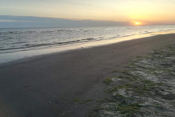 Foto van 6 persoons vakantie huis in Fanø-By Traum - Vakantiehuis in Fanø - WaterView