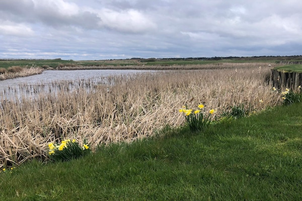 Foto van Heerlijk genieten van de zee in Lynderup - Vakantiehuis in Ringkøbing - Untagged