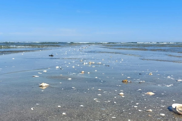 Foto van Luxe strandhuis met spa - Vakantiehuis in Hals - WaterView