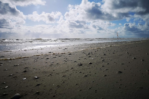Foto van 8 persoons vakantie huis in Blåvand - Vakantiehuis in Blåvand - WaterView