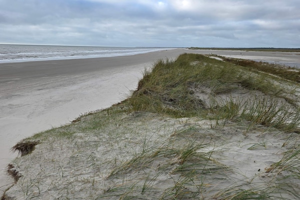 Foto van 8 persoons vakantie huis in Blåvand - Vakantiehuis in Blåvand - WaterView