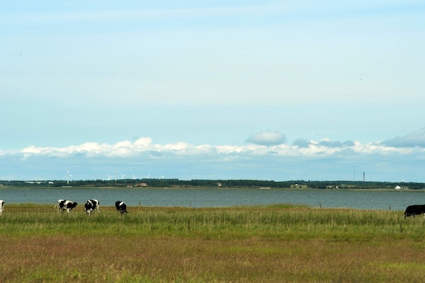 Foto van 8 persoons vakantie huis in Blåvand - Vakantiehuis in Blåvand - WaterView