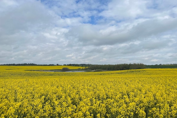 Foto van Gezellig toevluchtsoord in Vorupor -- By Traum Ferienwohnungen - Untagged
