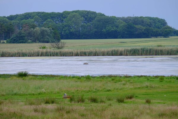 Foto van Charmant toevluchtsoord in Marielyst - Vakantiehuis in Væggerløse - WaterView