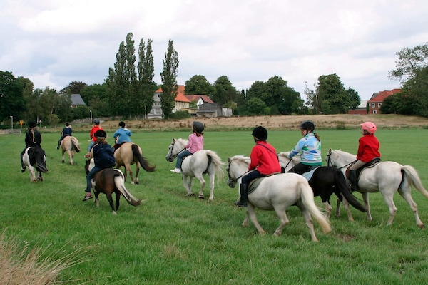 Foto van 6 persoons vakantie huis in GROEMITZ - Vakantiehuis in GROEMITZ - Untagged