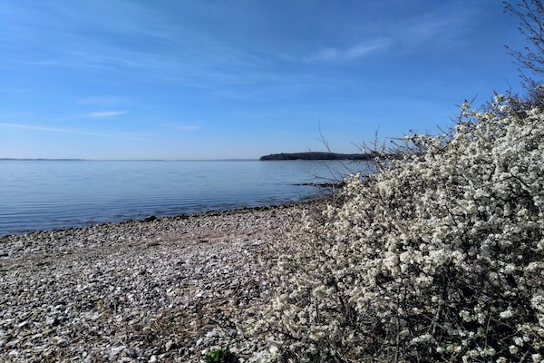 Foto van 6 persoons vakantie huis in Rønde-By Traum - Vakantiehuis in Rønde - WaterView