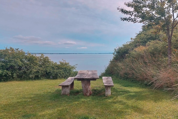 Foto van 6 persoons vakantie huis in Rønde-By Traum - Vakantiehuis in Rønde - Untagged