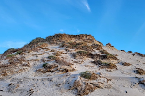 Foto van Gezellig strandhuis -- By Traum Ferienwohnungen - Vakantiehuis in Hvide Sande - Untagged