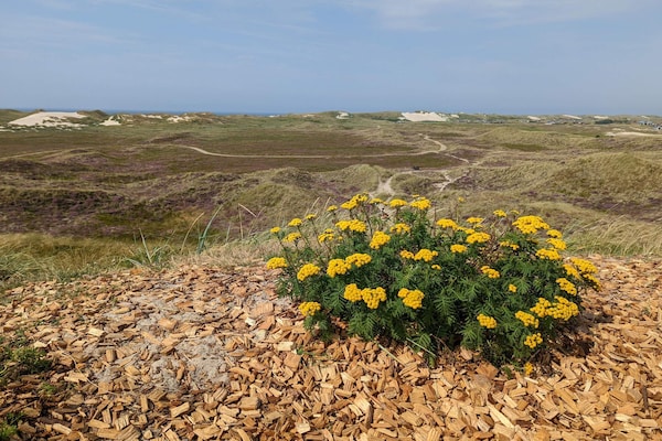 Foto van Gezellig strandhuis -- By Traum Ferienwohnungen - Vakantiehuis in Hvide Sande - Untagged