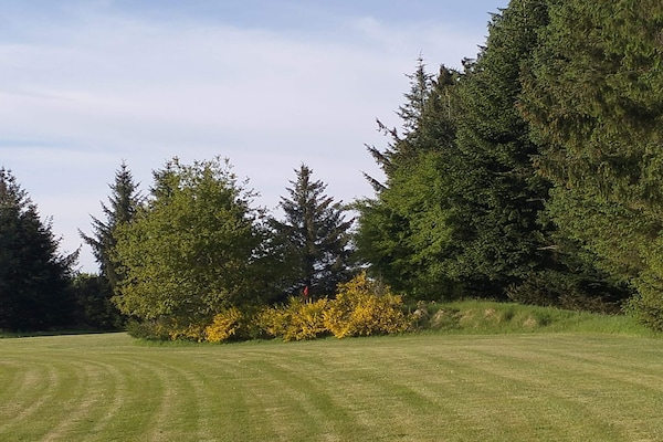 Foto van 6 persoons vakantie huis in Toftlund-By Traum - Vakantiehuis in Toftlund - Untagged