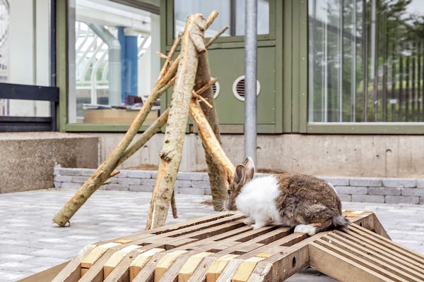 Foto van 6 persoons vakantie huis op een vakantie park in Hanstholm - Untagged