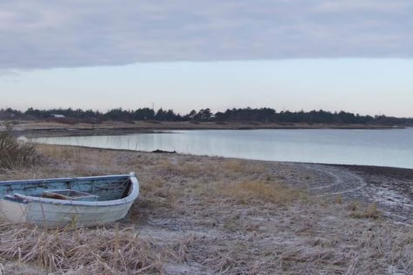 Foto van Luxe vakantieverblijf met zwembad - Vakantiehuis in Thyholm - View