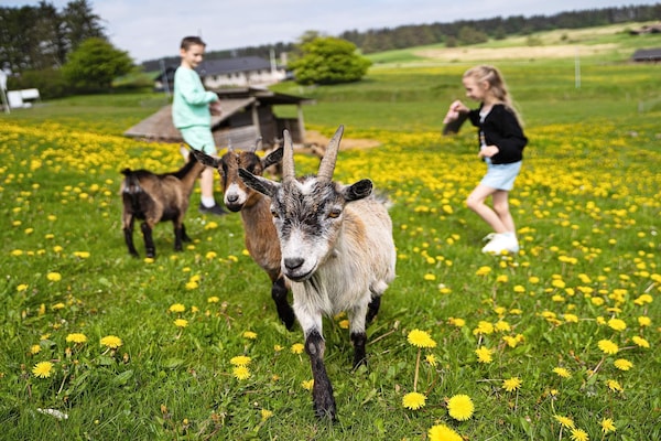 Foto van 6 persoons vakantie huis op een vakantie park in Hanstholm - Untagged