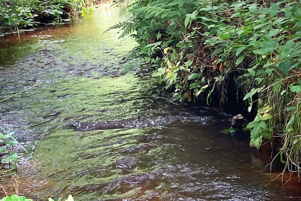 Foto van 8 persoons vakantie huis in Ålbæk-By Traum - Vakantiehuis in Ålbæk - Outdoor