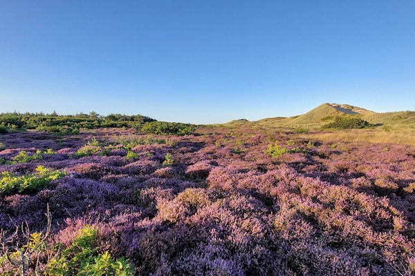 Foto van Kust ontsnapping in Ho -- By Traum Ferienwohnungen - Untagged