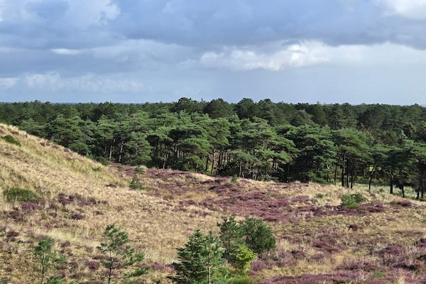 Foto van Kust ontsnapping in Ho -- By Traum Ferienwohnungen - Untagged