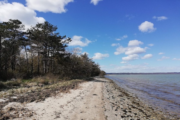 Foto van 8 persoons vakantie huis in Ebeltoft-By Traum - Vakantiehuis in Ebeltoft - WaterView