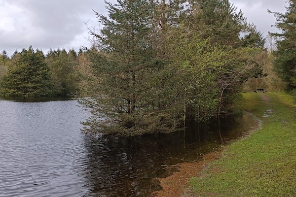 Foto van 6 persoons vakantie huis in Oksbøl-By Traum - Vakantiehuis in Oksbøl - Untagged