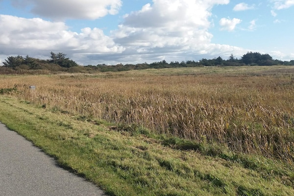 Foto van Rustiek toevluchtsoord met uitzicht - Vakantiehuis in Ringkøbing - Untagged