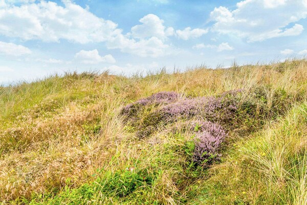 Foto van Rustiek toevluchtsoord met uitzicht - Vakantiehuis in Ringkøbing - View