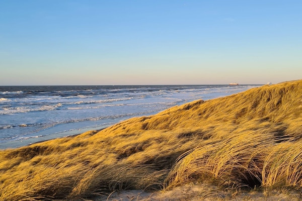Foto van 12 persoons vakantie huis in Hirtshals-By Traum - Vakantiehuis in Hirtshals - WaterView