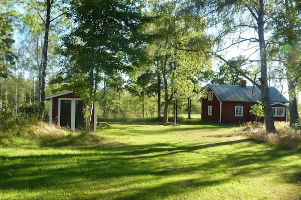 Foto van 6 persoons vakantie huis in Vislanda-By Traum - Vakantiehuis in Vislanda - View