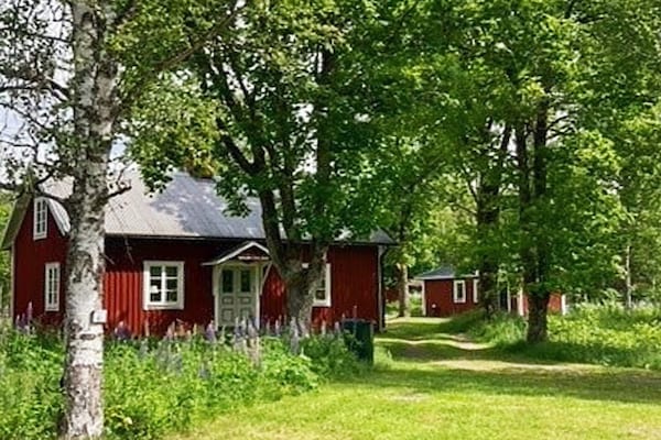 Foto van 6 persoons vakantie huis in Vislanda-By Traum - Vakantiehuis in Vislanda - Outdoor