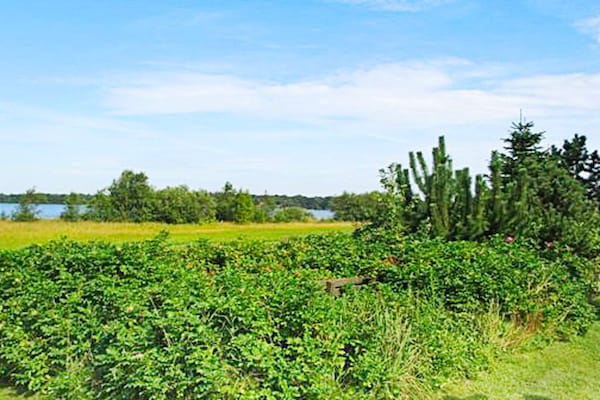 Foto van 6 persoons vakantie huis in Ansager-By Traum - Vakantiehuis in Ansager - WaterView