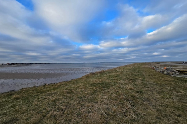 Foto van 6 persoons vakantie huis in Vinderup-By Traum - Vakantiehuis in Vinderup - WaterView