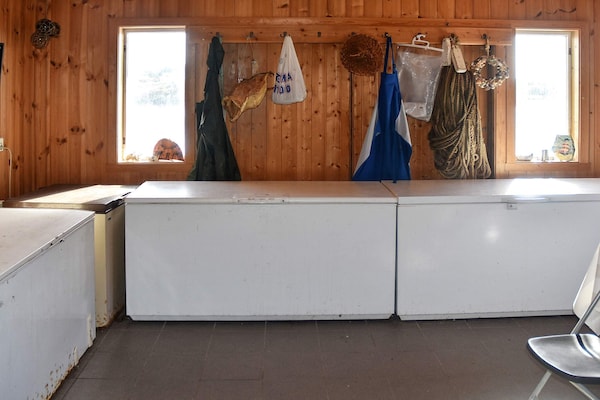 Foto van 6 persoons vakantie huis in Bud-By Traum - Vakantiehuis in Bud - Untagged
