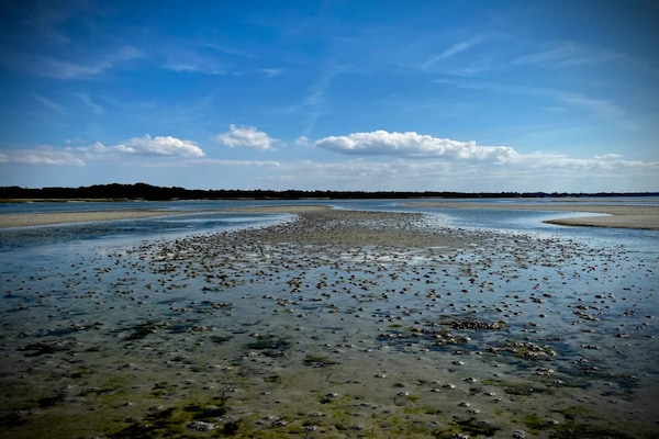 Foto van Luxe retraite met zwembad - Vakantiehuis in Jægerspris - WaterView