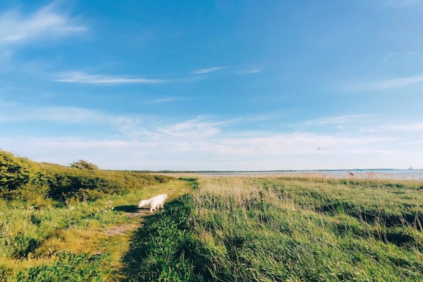 Foto van Luxe retraite met zwembad - Vakantiehuis in Jægerspris - WaterView