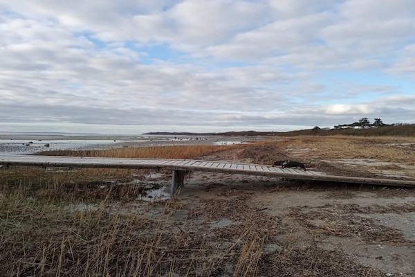 Foto van Luxe retraite met zwembad - Vakantiehuis in Jægerspris - WaterView