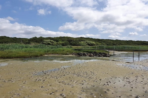 Foto van Luxe retraite met zwembad - Vakantiehuis in Jægerspris - WaterView