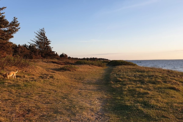 Foto van 6 persoons vakantie huis in Tarm-By Traum - Vakantiehuis in Tarm - WaterView