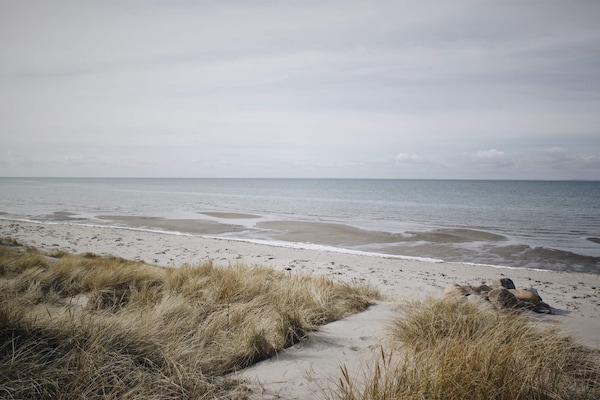 Foto van 6 persoons vakantie huis in Læsø - Vakantiehuis in Læsø - WaterView