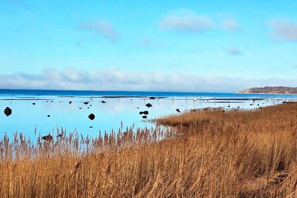 Foto van 6 persoons vakantie huis in Jægerspris-By Traum - Vakantiehuis in Jægerspris - WaterView
