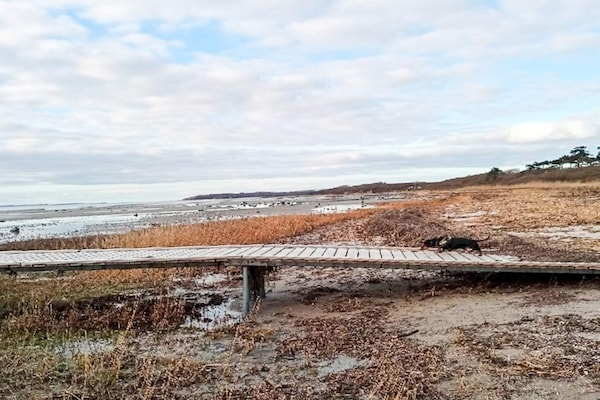 Foto van 6 persoons vakantie huis in Jægerspris-By Traum - Vakantiehuis in Jægerspris - WaterView