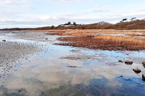 Foto van 6 persoons vakantie huis in Jægerspris-By Traum - Vakantiehuis in Jægerspris - WaterView