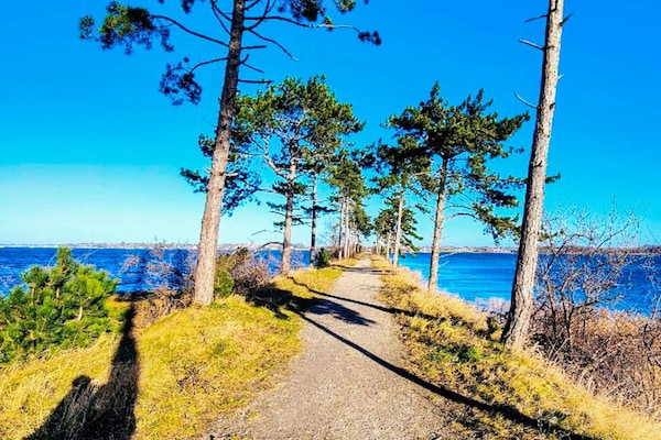 Foto van 6 persoons vakantie huis in Jægerspris-By Traum - Vakantiehuis in Jægerspris - WaterView