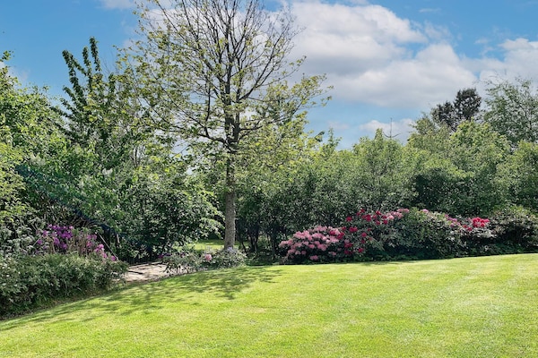 Foto van 6 persoons vakantie huis in Struer-By Traum - Vakantiehuis in Struer - Outdoor