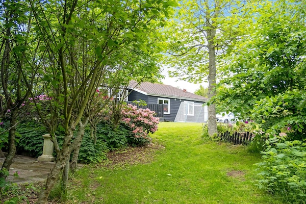 Foto van 6 persoons vakantie huis in Struer-By Traum - Vakantiehuis in Struer - Outdoor