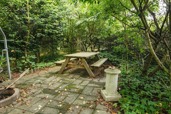 Foto van 6 persoons vakantie huis in Struer-By Traum - Vakantiehuis in Struer - Outdoor