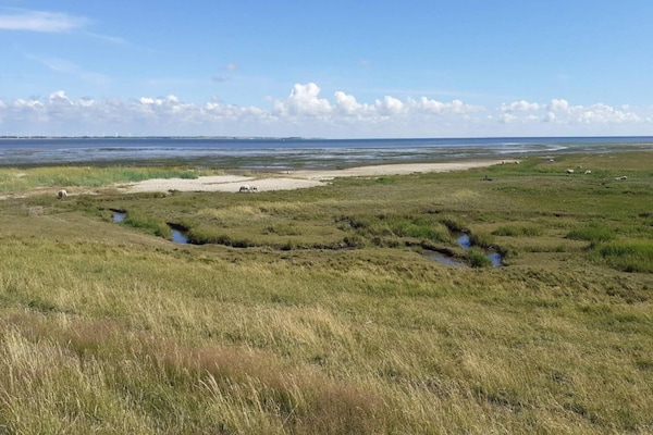 Foto van 6 persoons vakantie huis in Rømø-By Traum - Vakantiehuis in Rømø - WaterView